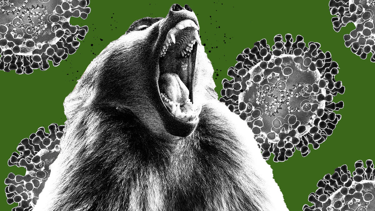 Report: Wuhan Bio Lab Carried Out Gain Of Function Research On Monkeypox Virus – [your]NEWS