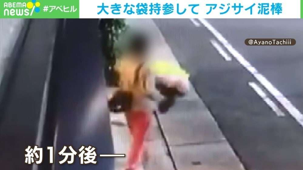 母の日に送った“大切なアジサイ”窃盗…袋持参の周到な犯人に被害者怒り | 国内 | ABEMA TIMES