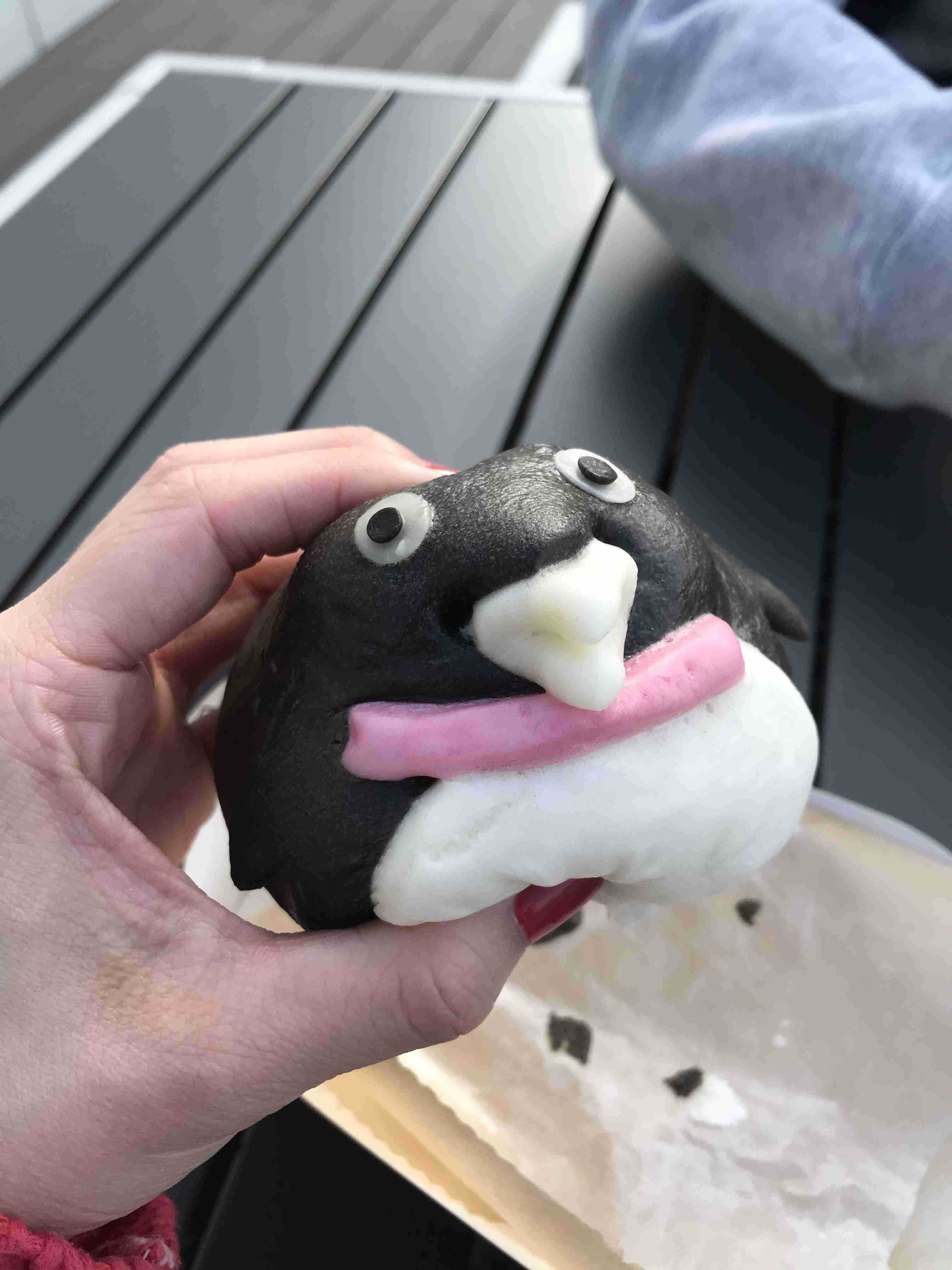 【全国どこでも】おすすめ水族館