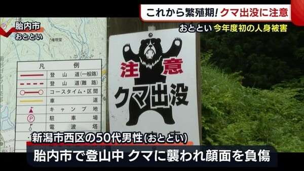 これから繁殖期！“クマ”出没に注意を　胎内市では登山中の男性が襲われケガ【新潟】
