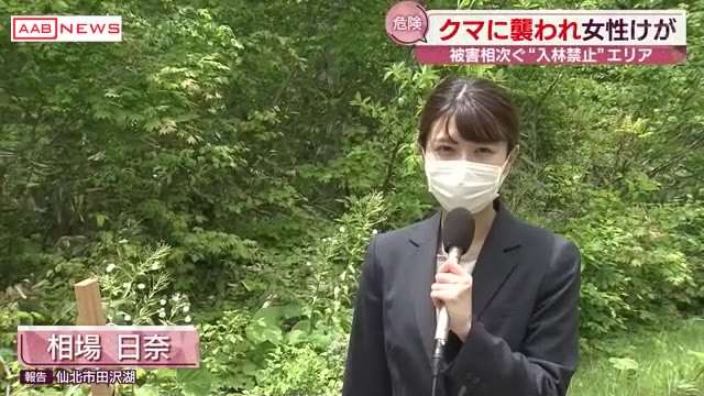 クマに襲われタケノコ採りの女性けが　過去に死者相次いだ立入禁止エリア　秋田・仙北市（秋田朝日放送） - Yahoo!ニュース