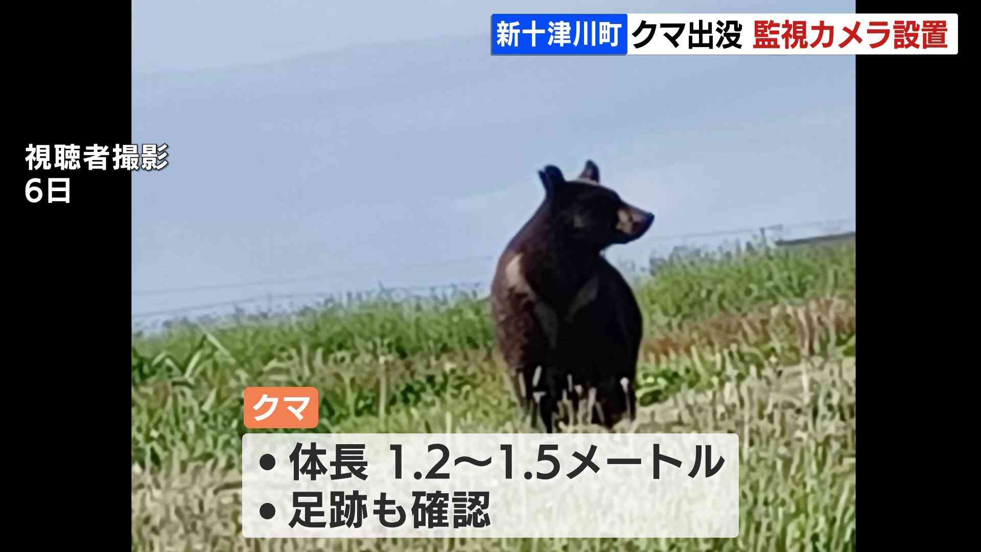 河川敷の監視カメラで警戒　体長1.5メートルほどのクマ　北海道新十津川町（HBCニュース） - Yahoo!ニュース