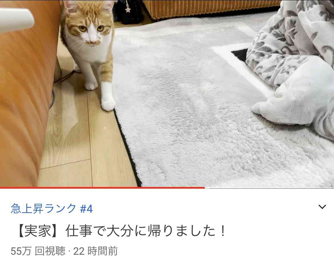 「デカすぎる」「コラ画像みたい笑」　指原莉乃、新しい家族を報告...先住猫との比較に「衝撃受けてます」