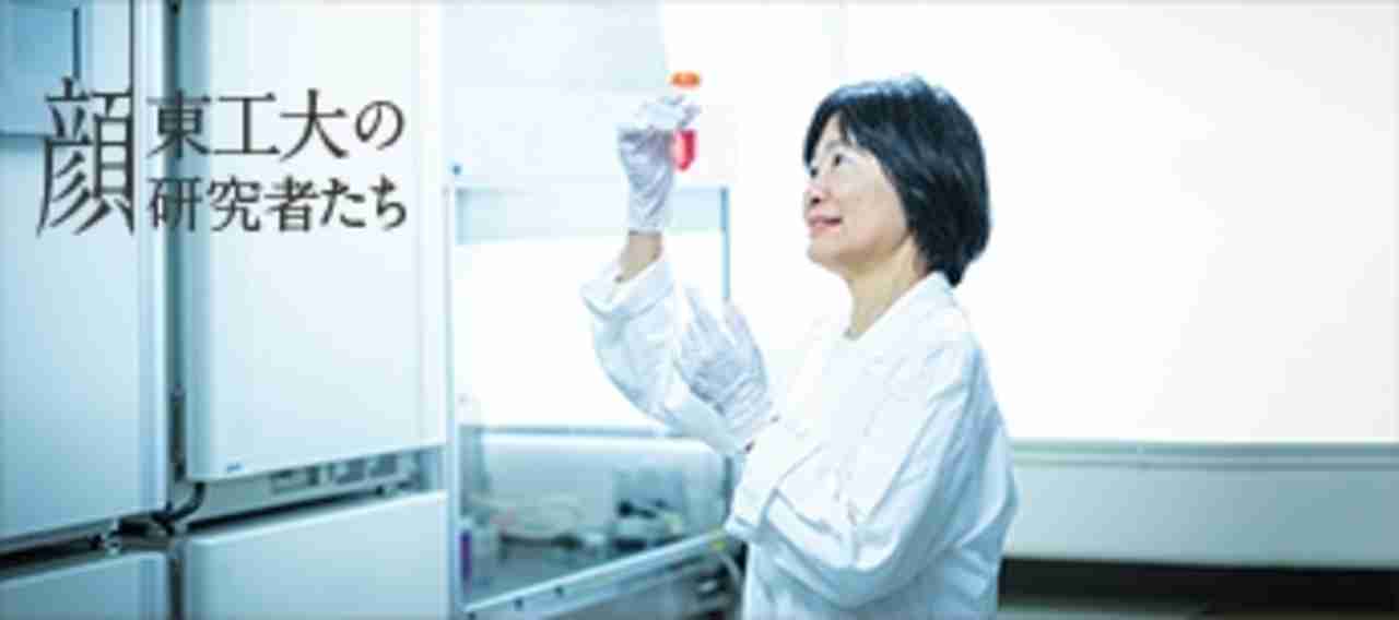 ES細胞やiPS細胞から膵臓を作製 糖尿病の新たな治療法の発見を目指す — 粂昭苑顔 東工大の研究者たち vol.37 | 研究ストーリー | 研究 | 東京工業大学