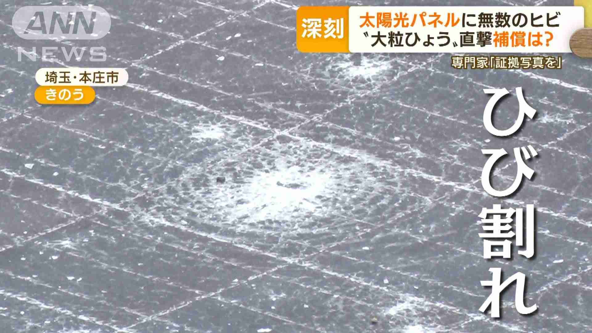 “大粒ひょう”で深刻被害　車修理の費用「300万円」…太陽光パネルもヒビ　補償は？