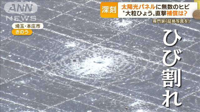 “大粒ひょう”で深刻被害　車修理の費用「300万円」…太陽光パネルもヒビ　補償は？｜テレ朝news-テレビ朝日のニュースサイト