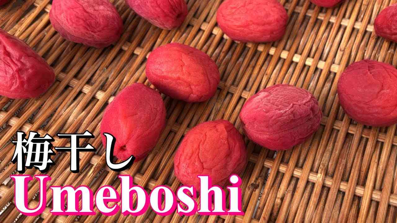 [Umeboshi] selber machen aus Aprikosen / 梅干し（杏干し）をドイツで作ってみました - YouTube
