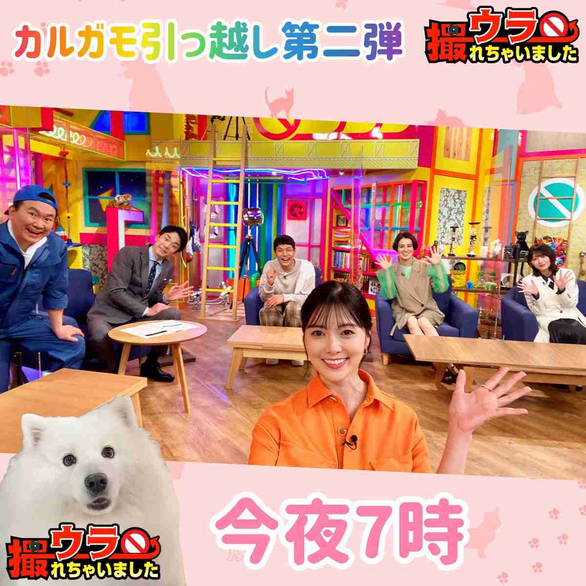 乃木坂46山崎怜奈、7・17卒業を発表「わがままを許してほしいです」声を詰まらせる場面も