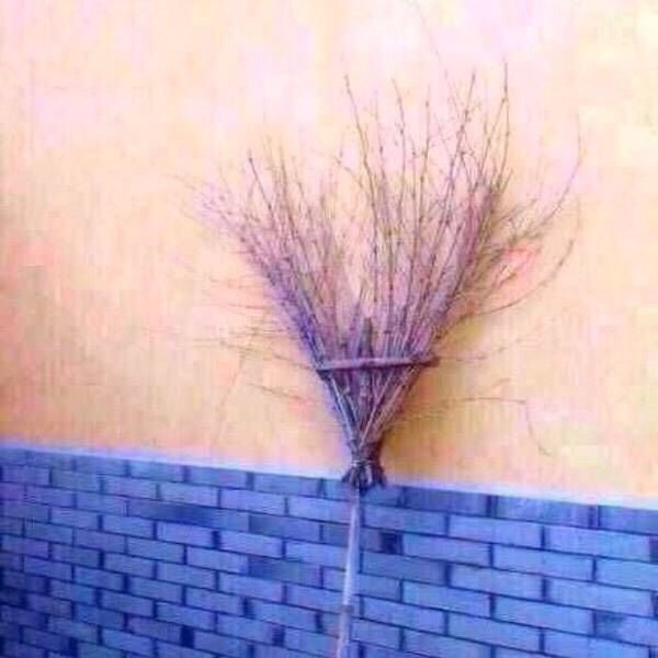 純粋な人には“何でもない普通の画像”に見えるものを貼っていくトピ