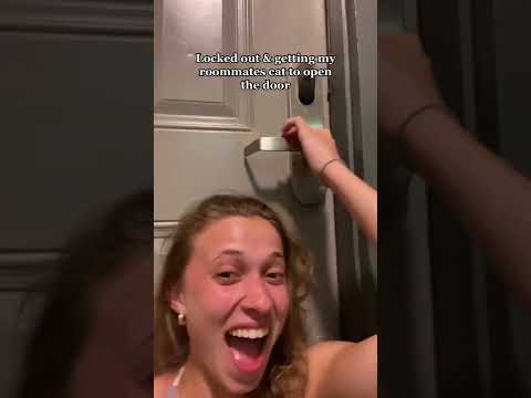 Cat opens door for locked out roommate - YouTube