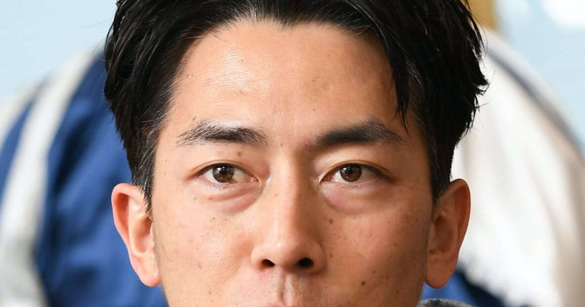 小泉環境相「住宅に太陽光義務化を」: 日本経済新聞