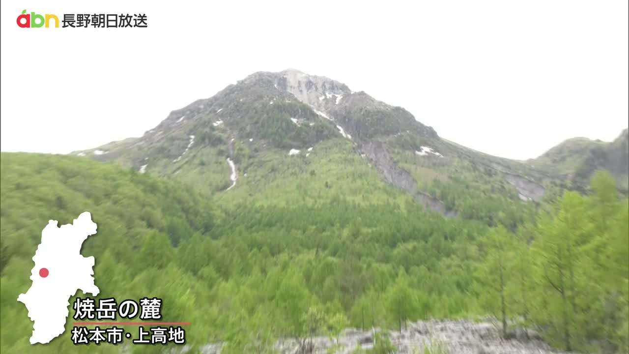 焼岳噴火後に予想される土石流被害防止へ　上高地で緊急工事　噴火警戒レベル2の段階で着工　【長野】（abn長野朝日放送） - Yahoo!ニュース
