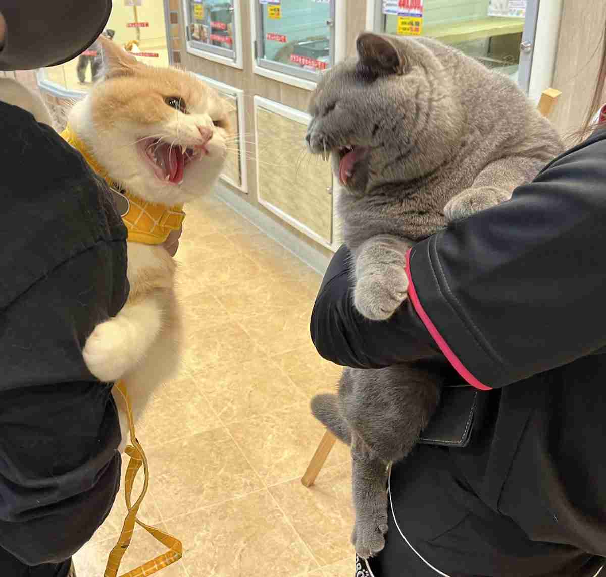 4630万円で大騒ぎしてる場合かッ！ぬくぬく国会議員のすさまじい「公金ムダ使い」