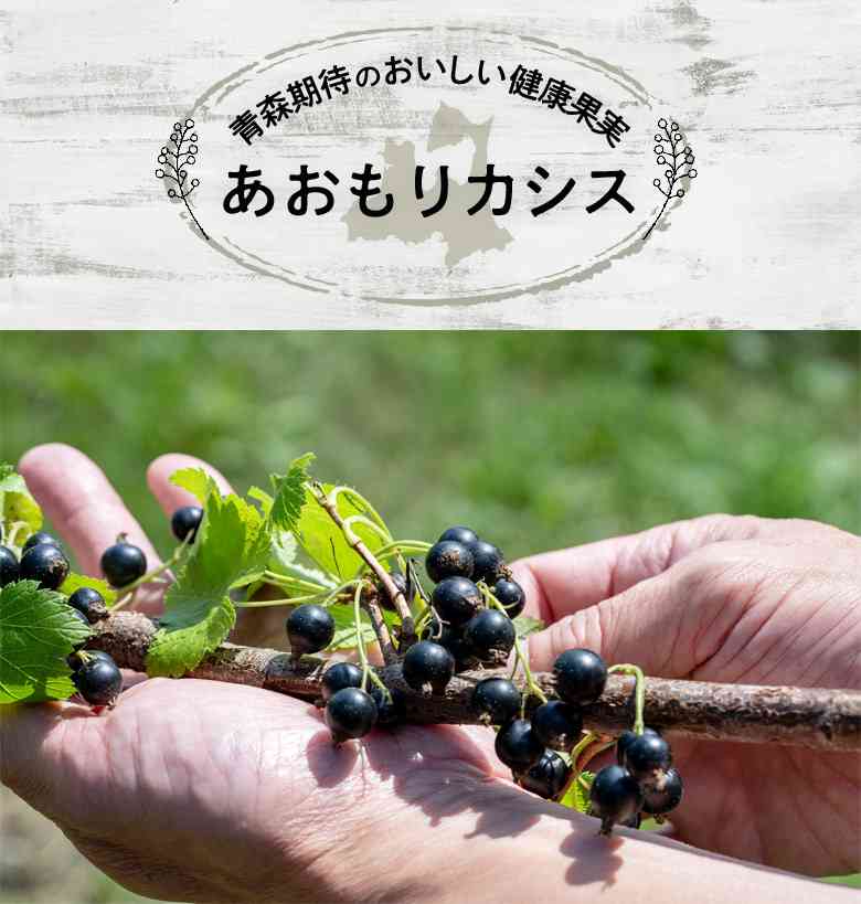 人手足りず無償の「収穫サポーター」募集→「悪どい行為」と批判　生産団体「田舎の慣習に流されておりました」と撤回、中止に