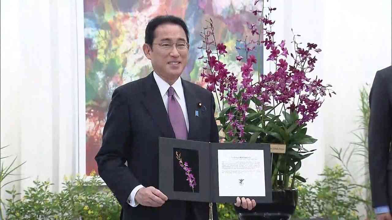 参院選へ外交手腕アピール　国会最終盤に異例の外遊―岸田首相