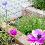 精神薬と車の運転 | 日野市の心療内科、こころクリニック