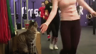 ペットのお手手があつまるトピ
