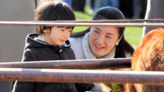 肩パットブームは再来すると思いますか?