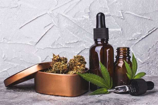 政府による「骨太の方針 2022」に大麻に関する記述とは（Forbes JAPAN） - Yahoo!ニュース
