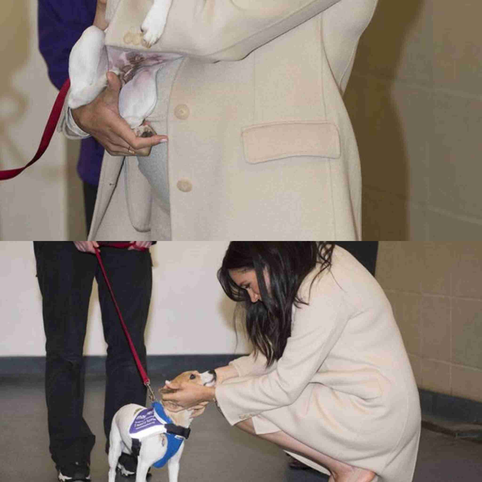 ヘンリー王子&メーガン妃がリリベットちゃんの写真公開 夫妻お気に入りの1枚