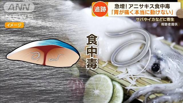 【独自】「アニサキス」急増なぜ？  食中毒相次ぐ…クジラ数要因か　“殺虫装置”開発も