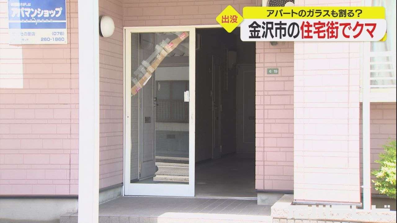 体長60cmほど…金沢の住宅街に『クマ』 夜に橋のたもとで目撃情報 7時間後には別の場所でも（石川テレビ） - Yahoo!ニュース