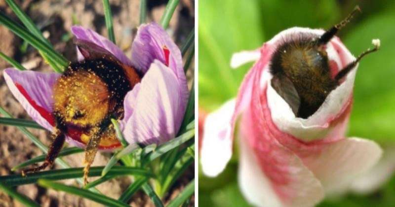 【何の意味がある?】決めポーズが集まるトピ