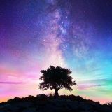 >>19ガルでおすすめされたナザールボンジュウ?効果あったトルコの邪視除けの御守り... | ガールズちゃんねる - Girls Channel -