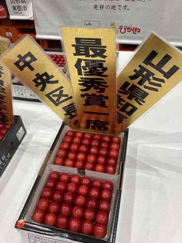 サクランボ、1kgで130万円　過去最高　山形の「佐藤錦」