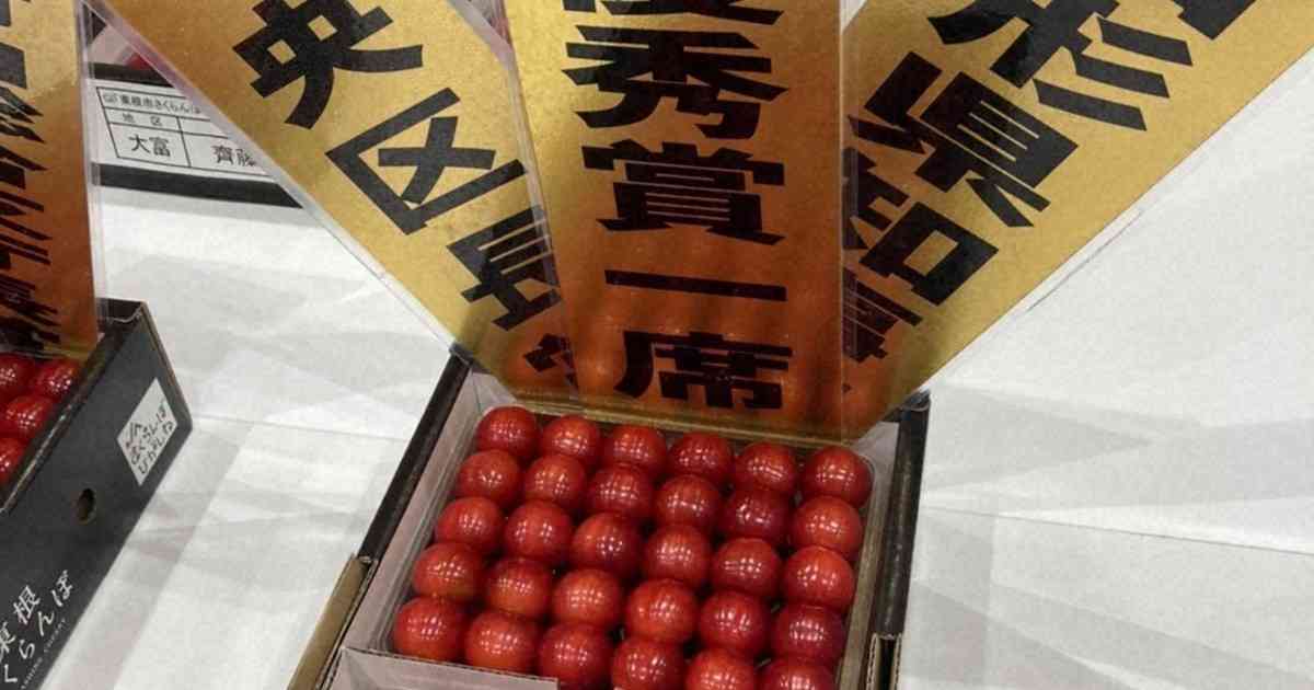 サクランボ、1kgで130万円　過去最高　山形の「佐藤錦」 | 毎日新聞