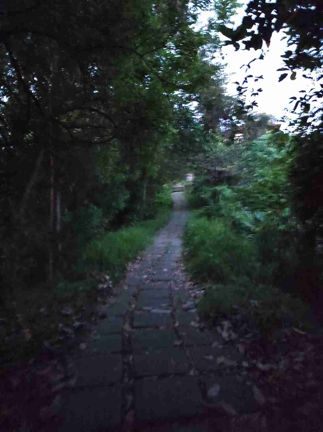 親の横暴「1週間千円で過ごしなさい」。小2妹を中1姉に任せ、両親は10日も仕事で不在