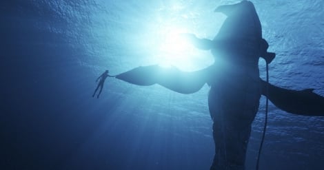 ジェームズ・キャメロン監督『アバター』最新作、12・16公開決定 場面写真解禁