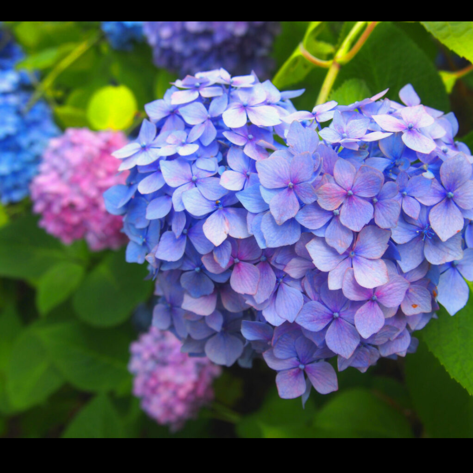 心の糧にしている言葉