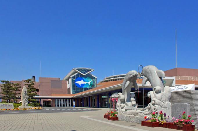 【全国どこでも】おすすめ水族館