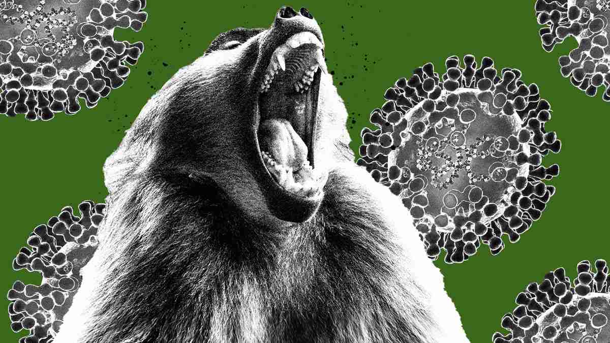 Report: Wuhan Bio Lab Carried Out Gain Of Function Research On Monkeypox Virus – [your]NEWS