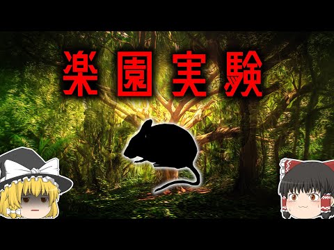 【動物実験】食料∞・病気や天敵ナシ環境での生物の結末【ゆっくり解説】【雑学】 - YouTube
