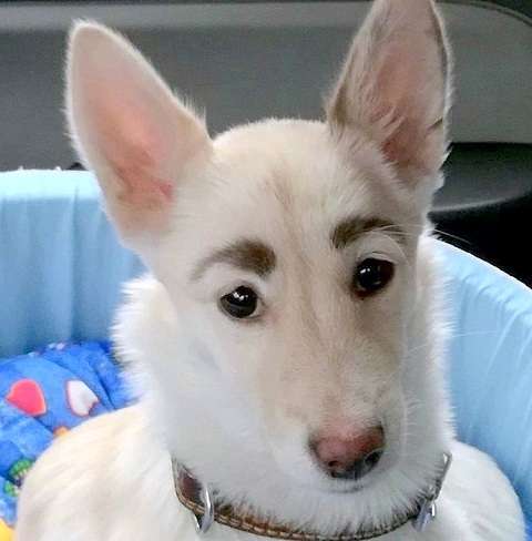 “まゆ毛整えた”女子中学生「3日間の別室登校」…“行き過ぎた指導”の声