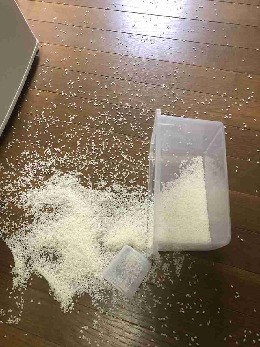 <それはやめて!>床に誤ってこぼされて、いちばん掃除が厄介だったものといえば何?