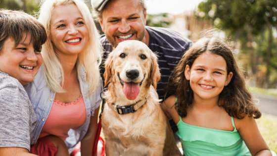 「イヌを飼っている住人が多い地域は犯罪率が低い」という研究結果が明らかに