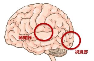 コロナ禍が子供の脳と心に及ぼす影響　マスク社会のリスク：時事ドットコム