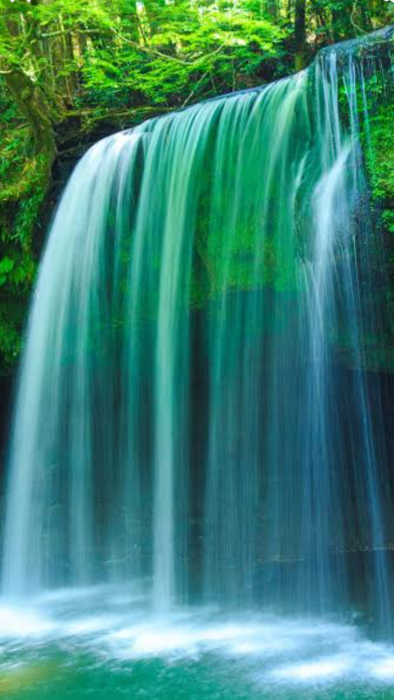 心が癒されたいときに聴く曲は