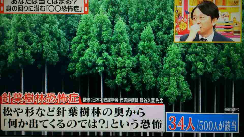 針葉樹林恐怖症の方、いますか？