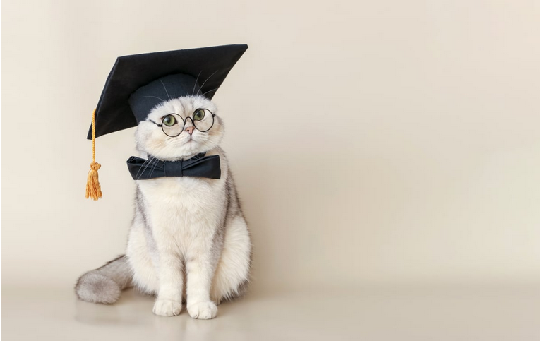 ＜ペット論争＞犬よりも猫のほうが飼いやすい？猫の飼い主さんたちの賛否両論の意見とは