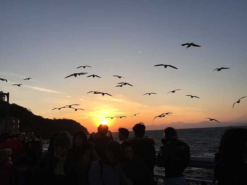 福本莉子 撮影中にびっくり! サンドイッチを盗んだ犯人はまさかの…