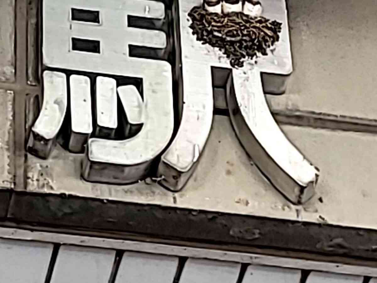 『駅』に作られたツバメの巣　ピッタリすぎて「高崎駅のロゴはこれにしよう」  –  grape [グレイプ]