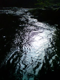 斎藤工務店: 【 円楽は客席にいる 】