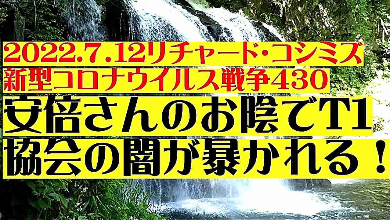 【2022年07月12日：リチャード・コシミズ Internet 講演（ 改良版 ）】 - ニコニコ動画
