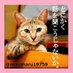 ???夢猫? on Twitter: 