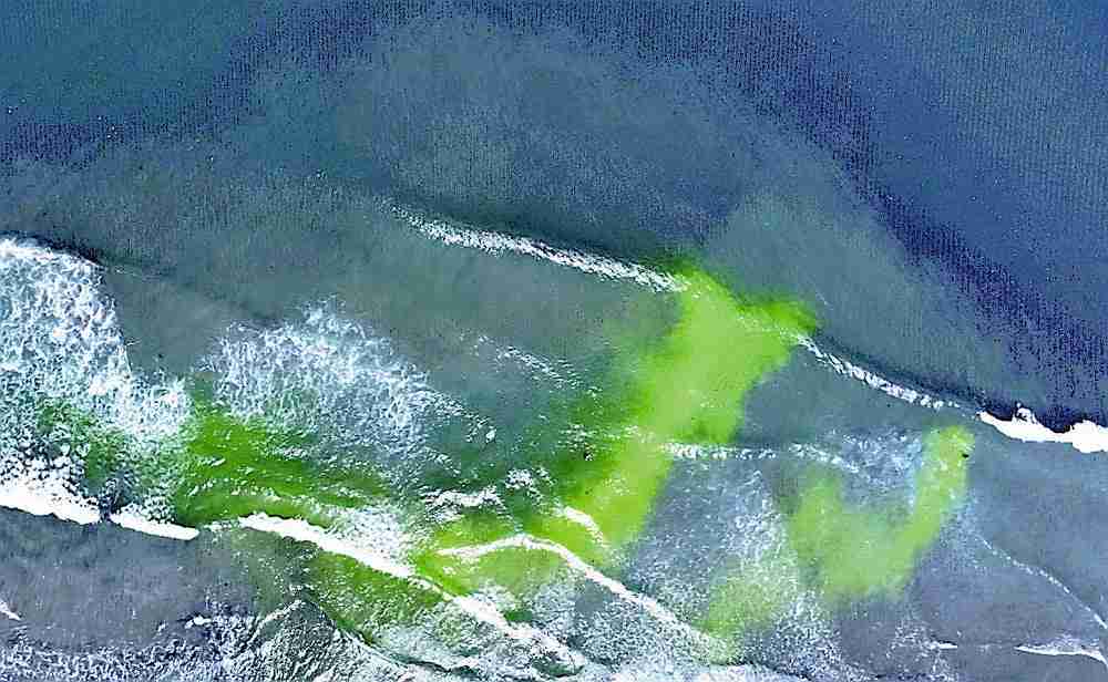 いわきの海水浴場に緑色の帯、海開きを前に「離岸流」調査する着色剤