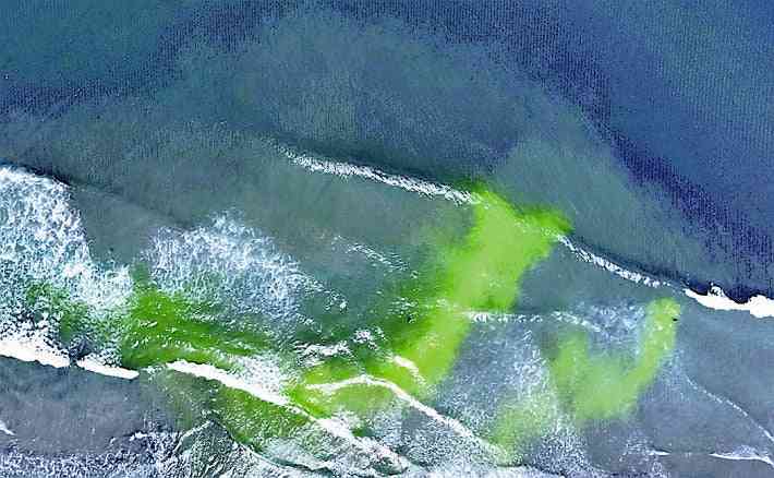 いわきの海水浴場に緑色の帯、海開きを前に「離岸流」調査する着色剤 : 読売新聞オンライン